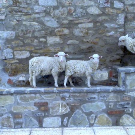 Agriturismo Le Case Rosse Di Montebuono Magione Dış mekan fotoğraf