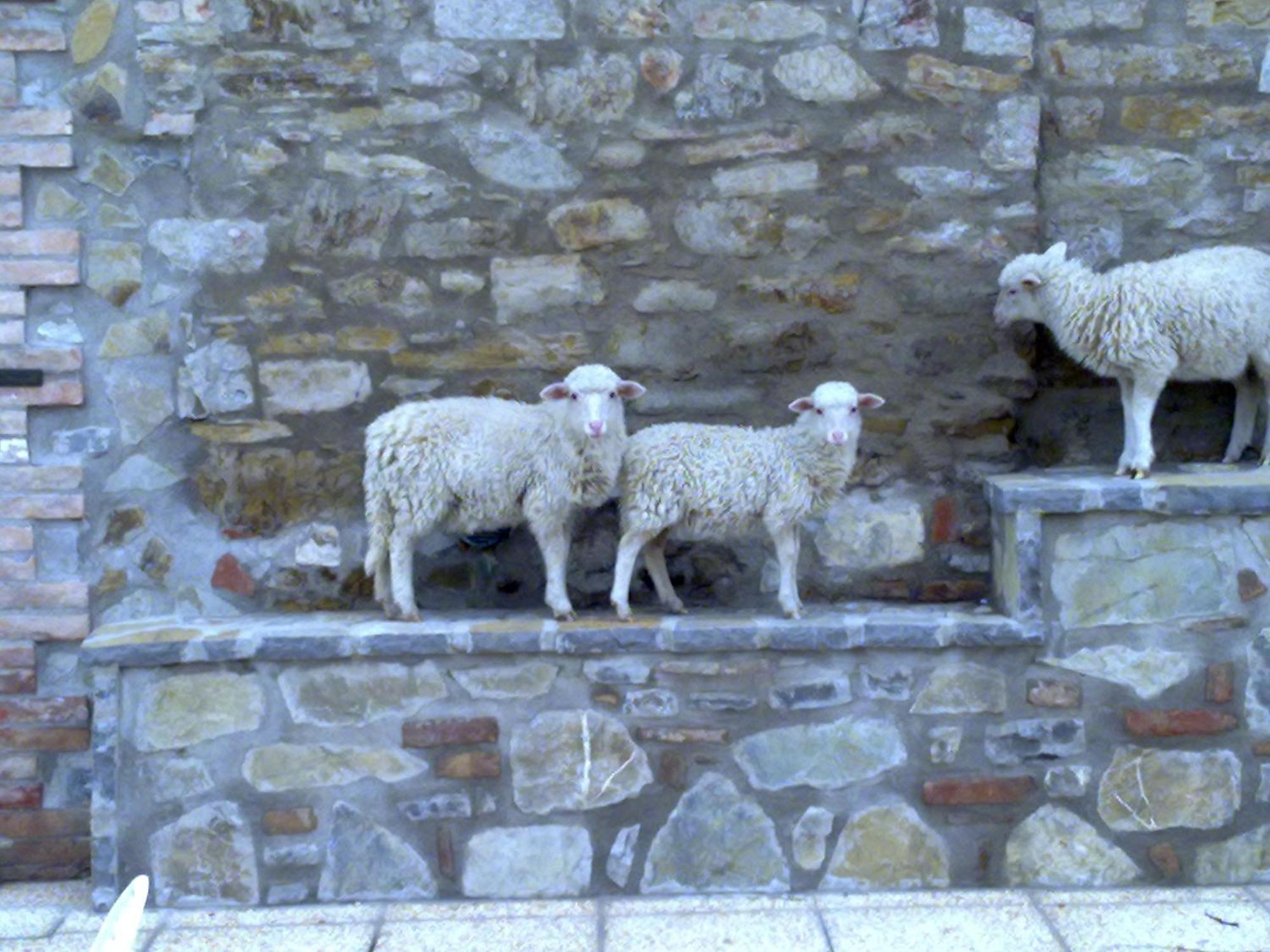 Agriturismo Le Case Rosse Di Montebuono Magione Dış mekan fotoğraf