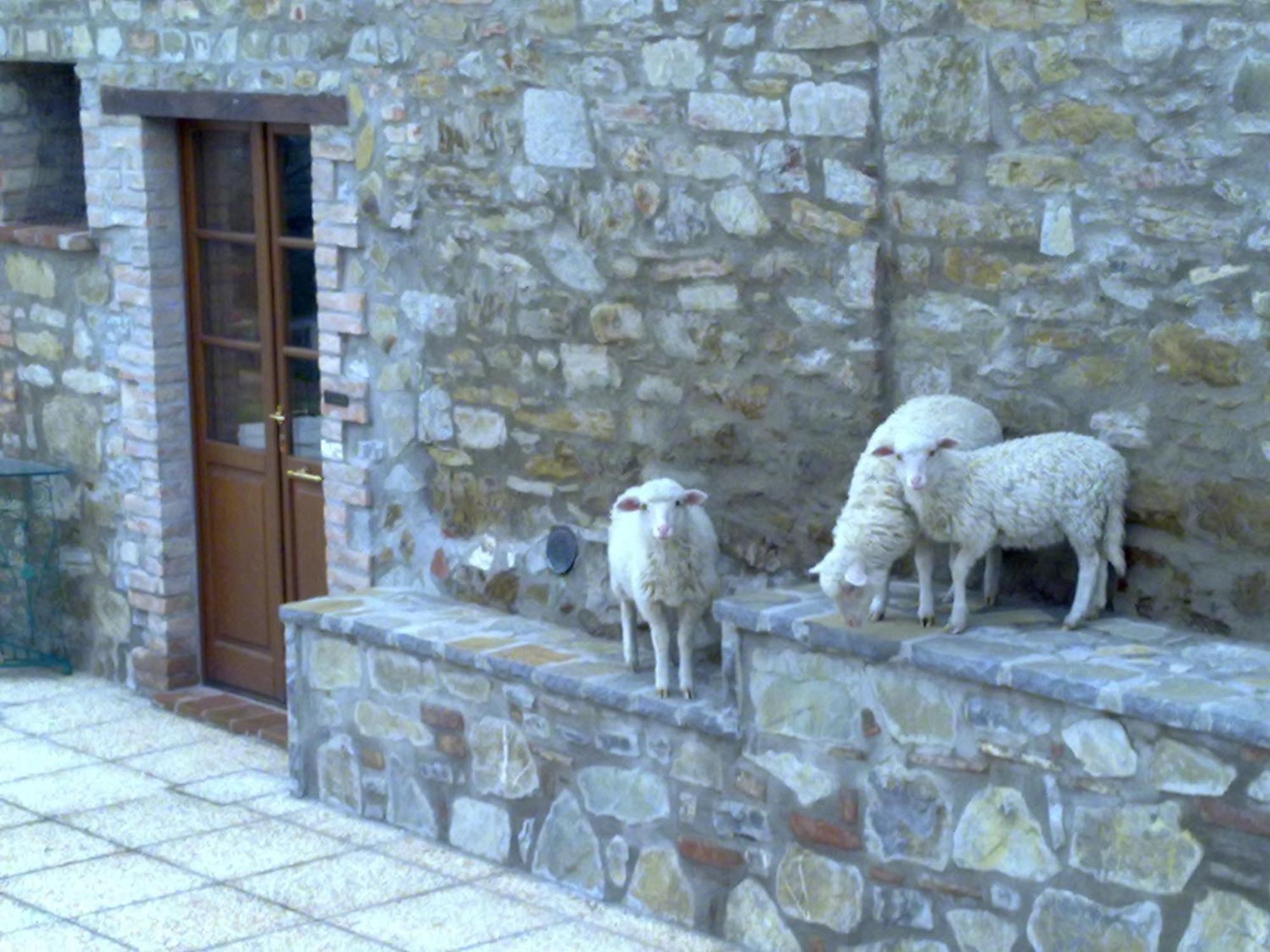 Agriturismo Le Case Rosse Di Montebuono Magione Dış mekan fotoğraf