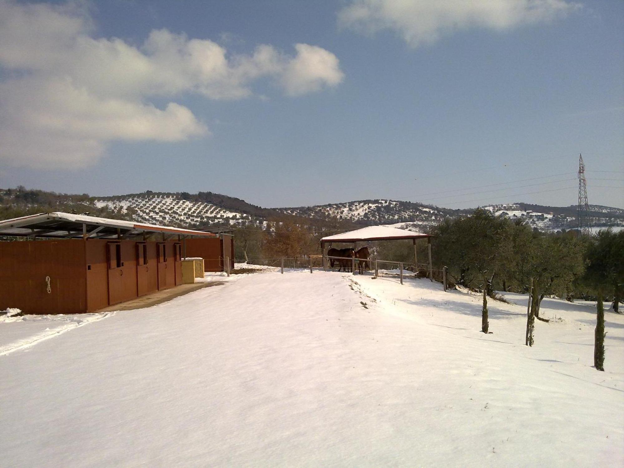 Agriturismo Le Case Rosse Di Montebuono Magione Dış mekan fotoğraf