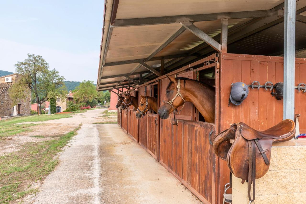 Agriturismo Le Case Rosse Di Montebuono Magione Dış mekan fotoğraf