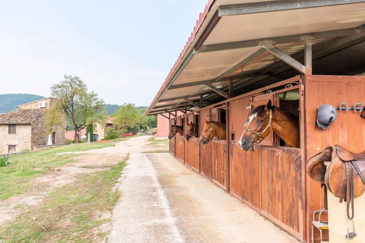 Agriturismo Le Case Rosse Di Montebuono Magione Dış mekan fotoğraf