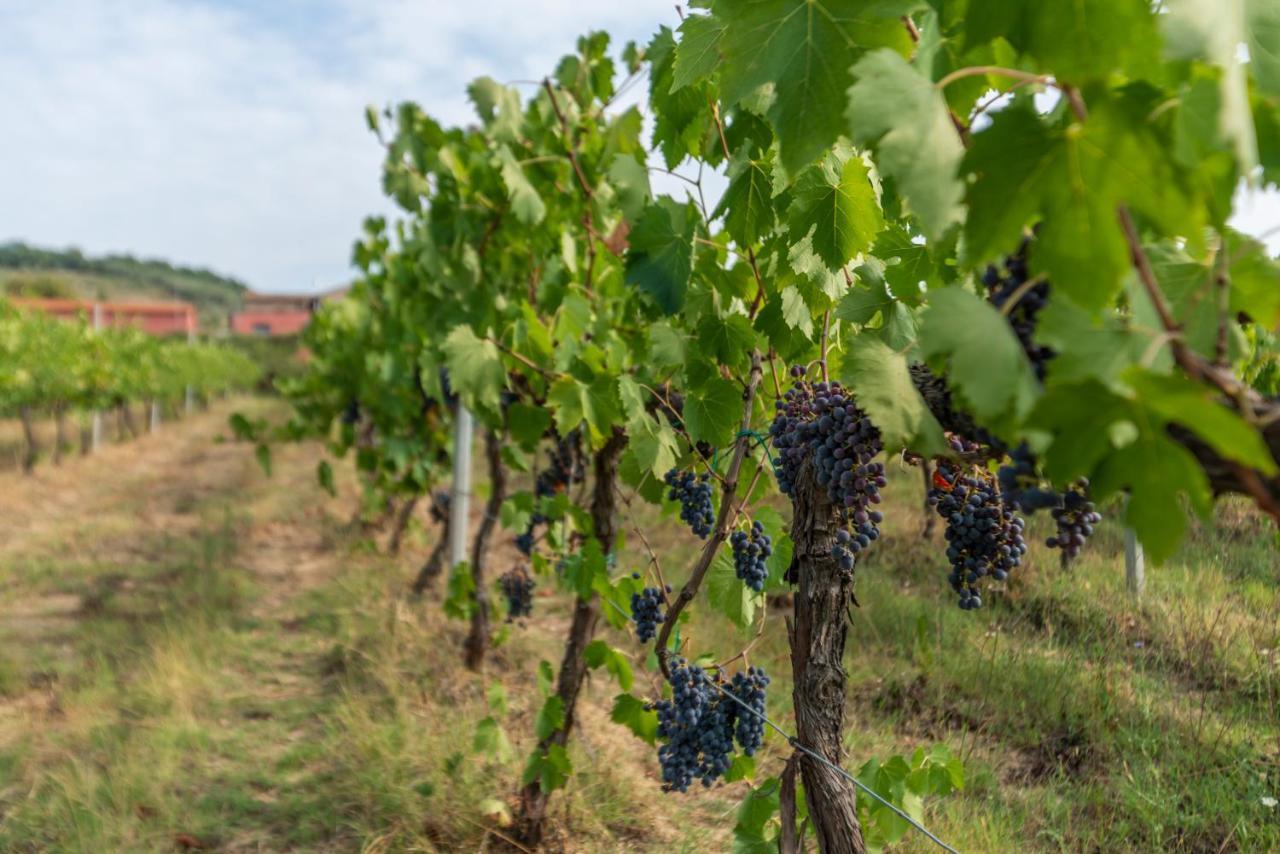 Agriturismo Le Case Rosse Di Montebuono Magione Dış mekan fotoğraf