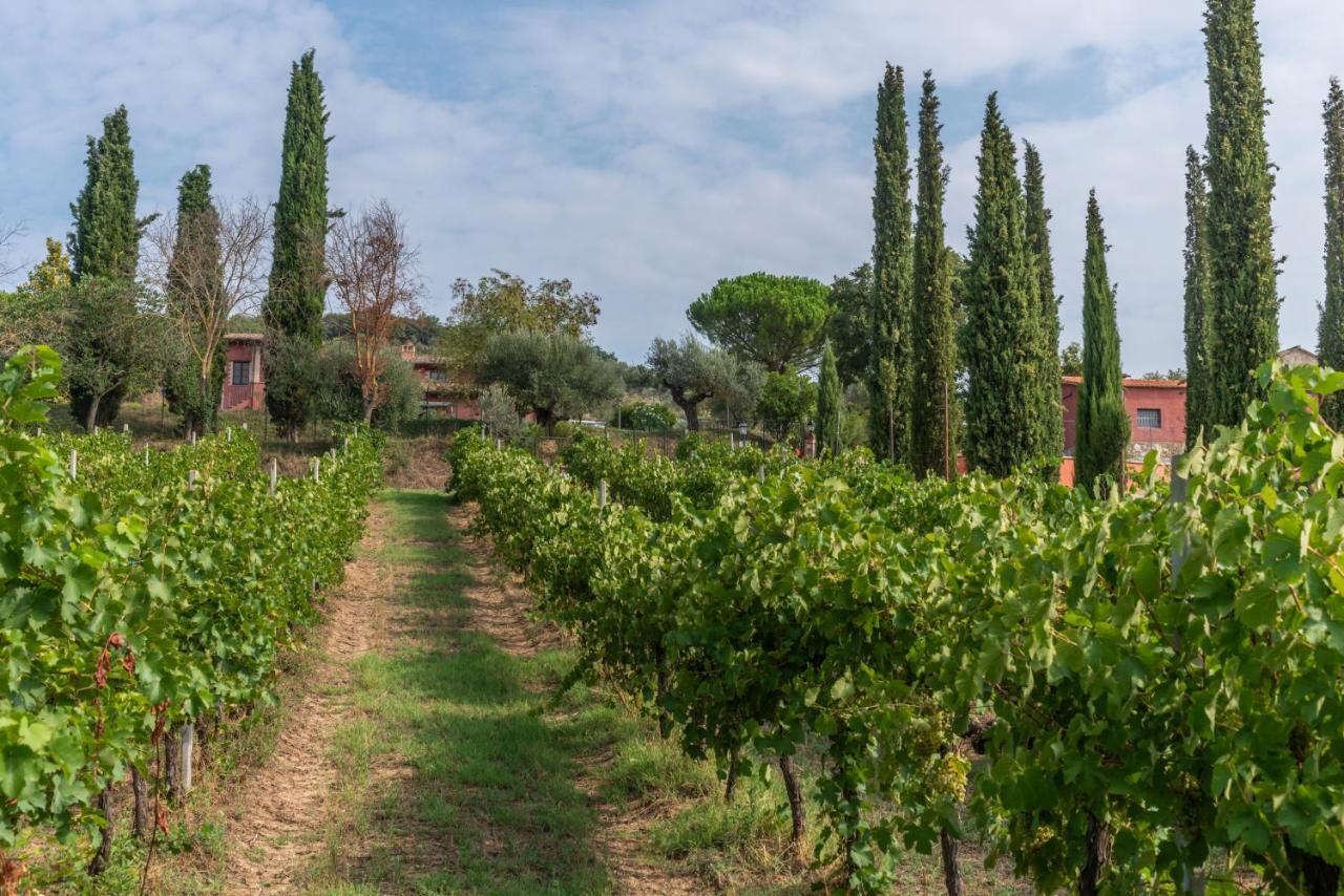 Agriturismo Le Case Rosse Di Montebuono Magione Dış mekan fotoğraf