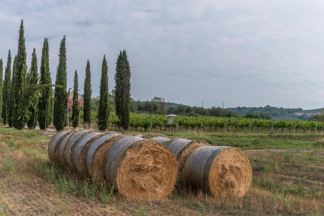 Agriturismo Le Case Rosse Di Montebuono Magione Dış mekan fotoğraf